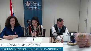 7102024 EXPEDIENTES SORTEADOS POR EL TRIBUNAL DE APELACIÓN PENAL DE CANINDEYÚ [upl. by Munsey]