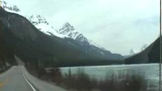 Icefields parkway heading to Peyto Lake [upl. by Nerra]