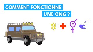 Comment fonctionne une ONG [upl. by Westberg890]