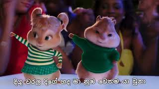 ලෙලෙනා  Lelena  Nilan Hettiarachchi song  Chipmunks amp Himabole version song with lyrics [upl. by Kingdon]