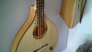 Visite du showroom de Philippe Berne luthier [upl. by Zanahs]