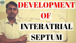 DEVELOPMENT OF INTERATRIAL SEPTUM [upl. by Gesner]