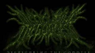 Disfiguring The Goddess Teeth Of Emultion lyrics [upl. by Inihor]