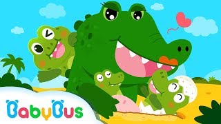 Crocodile River Surprise  Baby Care  Nursery Rhymes  Toddler Songs  Animal Song  BabyBus [upl. by Fafa]