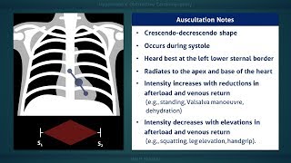 Hypertrophic Cardiomyopathy Heart Murmur [upl. by Ahsi656]