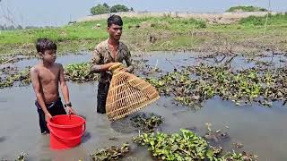 Fish HuntingAwesome fishing skillcatching big catfgish by bangladeshi fishing trap [upl. by Nimad]