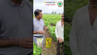 Npk Fertilizer amp sulphur farming agriculture micronutrients kisan organic farmer [upl. by Eiknarf423]