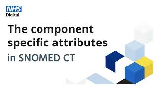 SNOMED CT tutorial Common specific attributes  NHS Digital [upl. by Ameerak832]