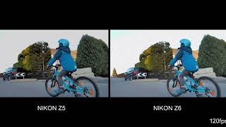 nikon z5 vs nikon z6 video Quality deferens nikon [upl. by Iinde975]