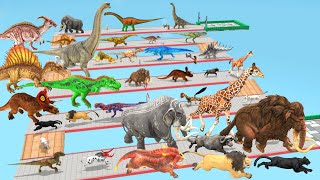 Which Animal vs Dinosaurs Speed Race Run Zigzag Down Course from Outside Animal Revolt Battle Simul [upl. by Emiline]