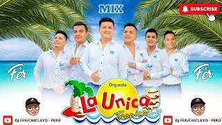 La Unica Tropical Mix Partido En Dos Si Esta Casa Hablara Te Burlaste De Mi Mas Dj Fer [upl. by Annora]