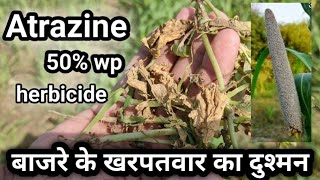 Atrazine 50 wp Herbicide full information I बाजरे के खरपतवार का दुश्मन [upl. by Gievlos]