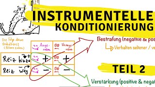 Instrumentelle Konditionierung Teil2 Bestrafung und Verstärkung [upl. by Elleined]