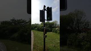 Lowestoft Castleton Way A1145 Siemens Helios Traffic Lights Toucan Crossing [upl. by Krisha]