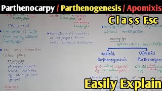 Parthenocarpy  Apomixis  Parthenogenesis  Seed Dormancy  Class 12 Biology [upl. by Ahsaela]