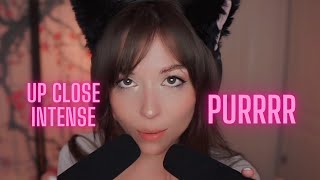 The Absolute Best Purring and Fabric Scratching ASMR 💜 [upl. by Comras]