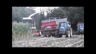 Ensilage Mais 2015  Go Pro  Corn Silage [upl. by Nilyad856]