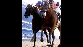 AFFIRMED VS ALYDAR The Triple Crown [upl. by Lezah]