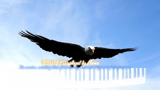 4K Music Videothe condor watching them from the sky becomes a symbol of freedom played by Marina [upl. by Aihsele]