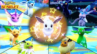 How I Caught All Shiny Eeveelutions in Pokémon Scarlet amp Violet [upl. by Thetis190]