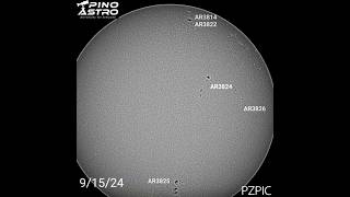 Daily Sunspots September 15 2024 91524 sun solar sunspots seestar solarobservation [upl. by Solakcin953]