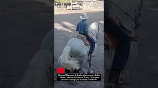 Rancho Villagomez dedicados a la venta de caballos de baile y charros ubicados en Texas y Guanajuato [upl. by Ittocs113]