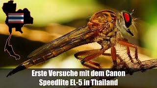 Erste Versuche Makrofotografie mit dem Canon Speedlite EL5 in Thailand [upl. by Galan]