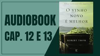 O VINHO NOVO É MELHOR  AUDIOBOOK  CAP 12 e 13 [upl. by Foy]