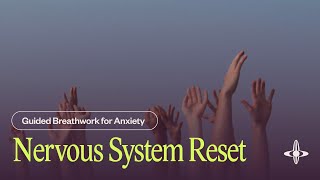 Nervous System Reset  Guided Breathwork 22 minutes [upl. by Katrinka446]