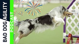 344 Dogs and Fireworks [upl. by Supple]