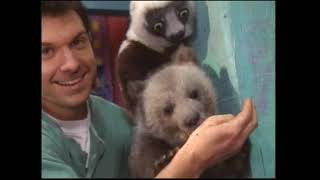 Zoboomafoo  Fearfest Full PBS Broadcast [upl. by Anaiq]