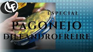 PAGONEJO ESPECIAL by DjLeandroFreire [upl. by Maritsa]