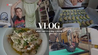 what i eat in a day  more  vlog [upl. by Gile]