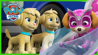 Skye Meets the Mighty Twins and MORE  PAW Patrol  Cartoons for Kids [upl. by Anna]