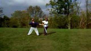 kung fu wu shu VS viet vo dao [upl. by Harbert]