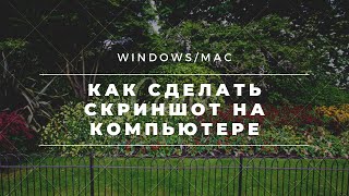 Как сделать скриншот экрана на компьютере в Windows Mac [upl. by Angelia]