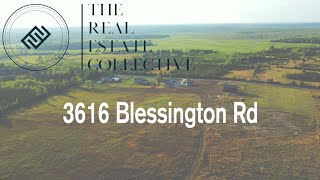 3616 Blessington Rd [upl. by Yeorgi]