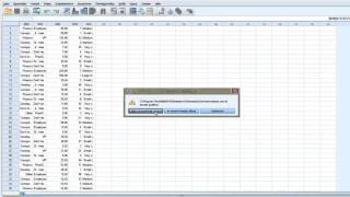 Häufigkeitsanalyse in SPSS Version 23 durchführen [upl. by Lathan]