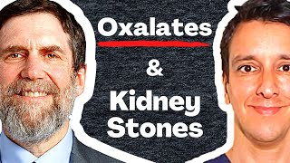 Oxalates amp Kidney stones  Dr David Goldfarb MD [upl. by Fennell]