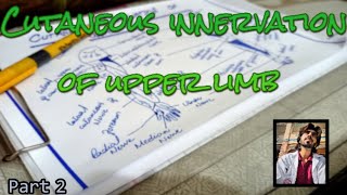 Cutaneous innervation of upper limb 22  how to draw cutaneous innervation of upper limb easily [upl. by Gildas]