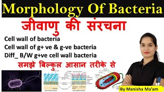 Morphology of Bacteria in hindi  Bacterial Structure  Bacteriology  Microbiology lecture [upl. by Aihseyk12]