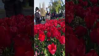 Floriade Canberra [upl. by Orren431]