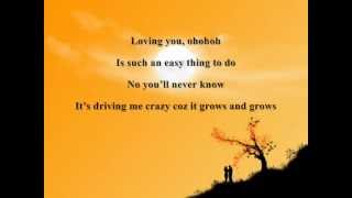 LOVING YOU BY NINA LYRICS [upl. by Odnanreh]