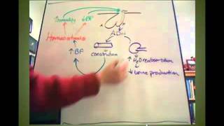 ADH Tutorial [upl. by Barcroft246]