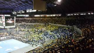 2016 UAAP CDC Season 79  UST  Black Gold Black White chant [upl. by Kentiggerma]