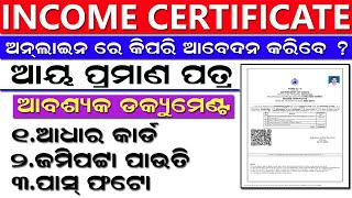 How to Apply Income Certificate in 2024 l Income Certificate Apply Odisha Income Certificate Online [upl. by Yrallih]