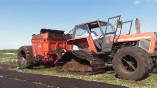 Zetor Crystal on tracks  Turf Cutting 2018 [upl. by Abbey708]