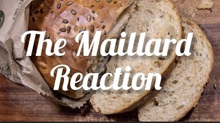 What is Maillard Reaction  Mechanism of Maillard Reaction maillardreaction [upl. by Timmie21]