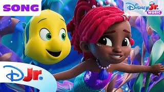 Disney Jr’s Ariel quotLa Sirenuscaquot Song 🎶  The Little Mermaid 🧜🏾‍♀️  disneyjr [upl. by Odnanreh]