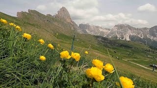 Val Gardena Seceda [upl. by Ynnaffit145]